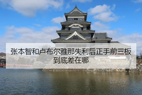 张本智和卢布尔雅那失利后正手前三板到底差在哪