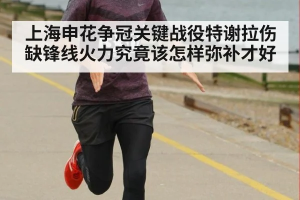 上海申花争冠关键战役特谢拉伤缺锋线火力究竟该怎样弥补才好